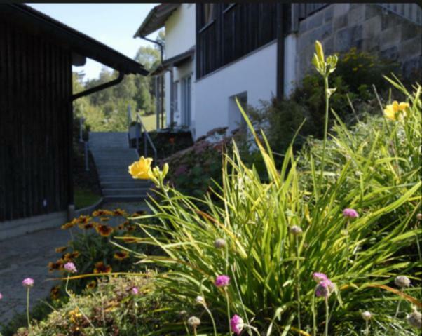 Lichteck - Helle Ferien Appartement Breitenberg  Buitenkant foto